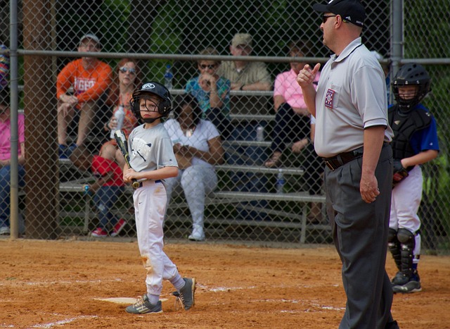 兹拉维事件 兹拉维事件